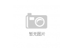 魏晋元兴公司数字化转型之数据资产及数据治